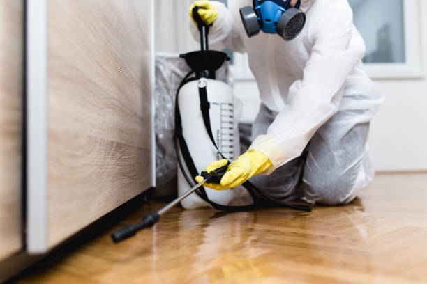 Trusted Wacousta, MI Pest Control Experts