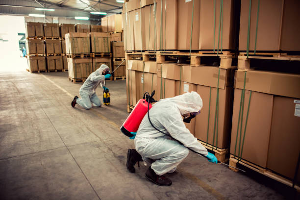 Best Affordable Pest Control Services  in Wacousta, MI