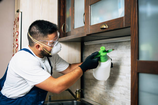 Best Commercial Pest Control Services  in Wacousta, MI