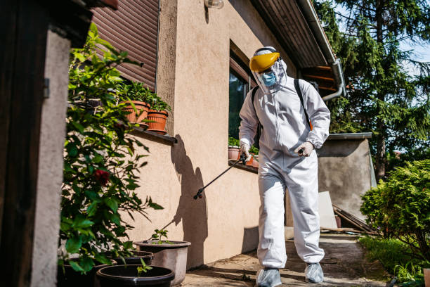 Best Pest Inspection Near Me  in Wacousta, MI