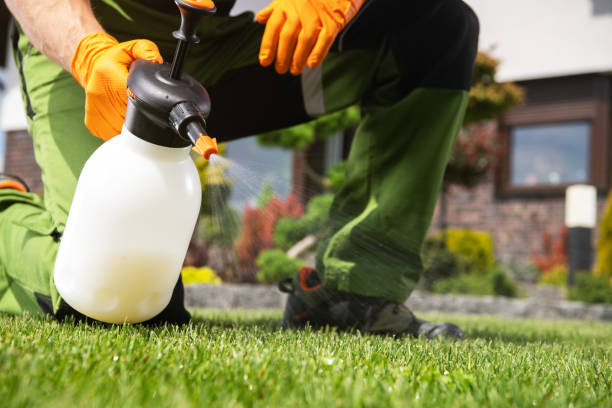 Best Insect Control  in Wacousta, MI