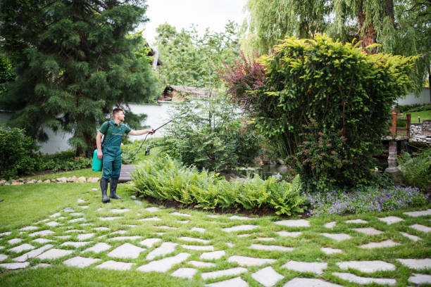 Best Emergency Pest Control  in Wacousta, MI