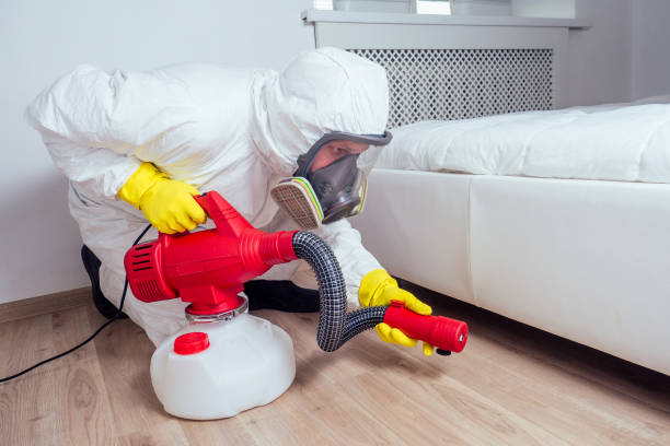 Best Cockroach Control Services  in Wacousta, MI