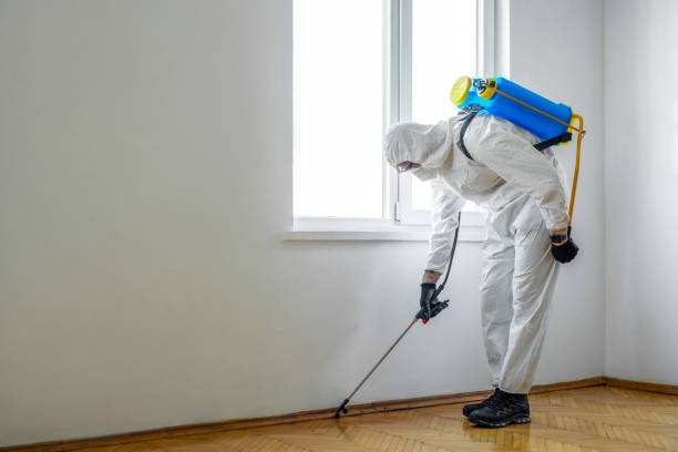 Best Wildlife Control Services  in Wacousta, MI
