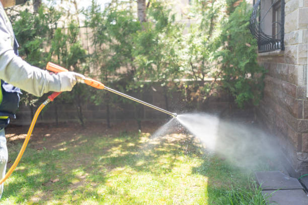 Best Wasp Removal Services  in Wacousta, MI