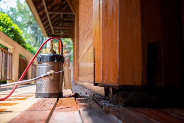 Best Local Pest Control Services  in Wacousta, MI